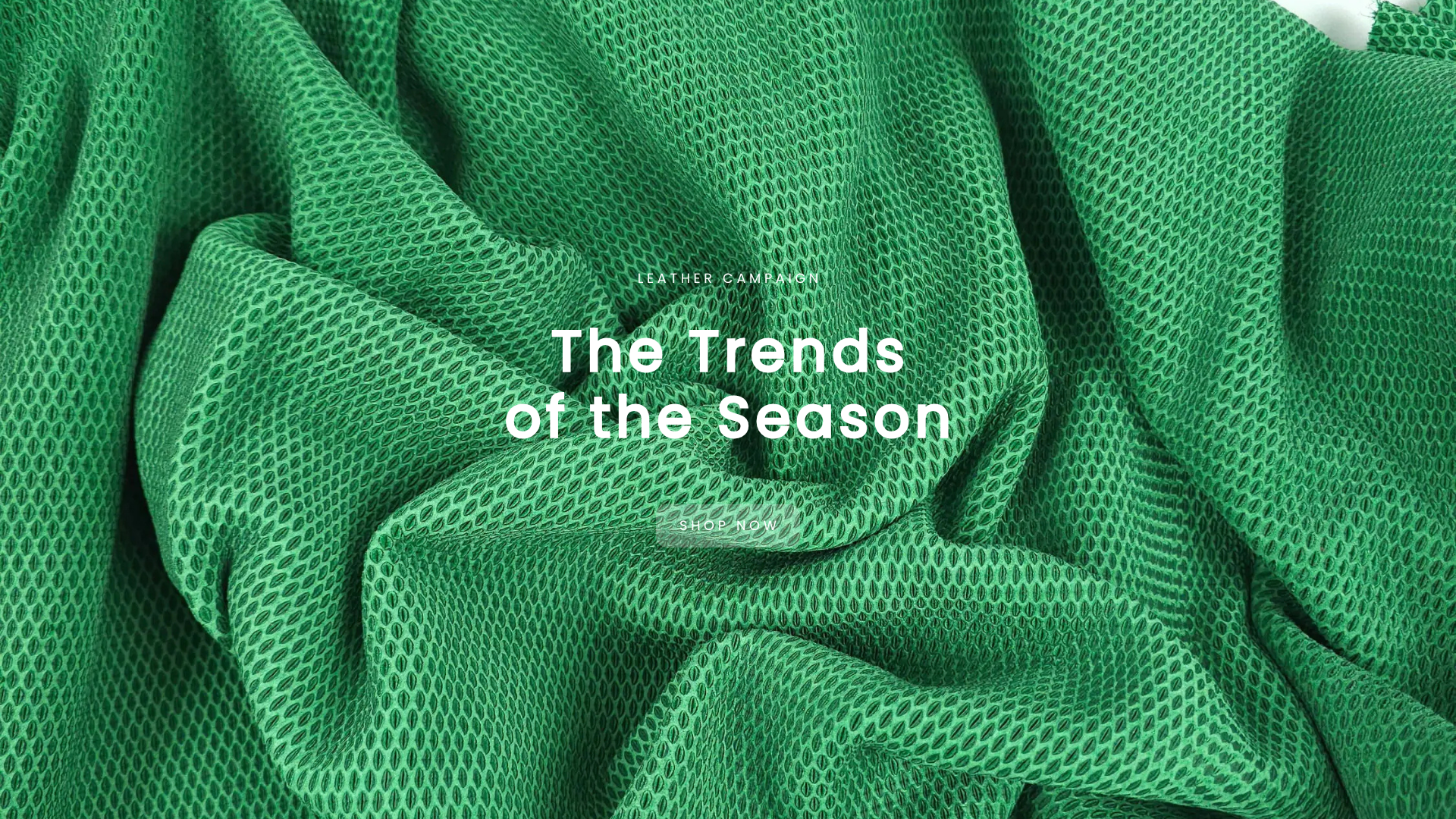 Trends